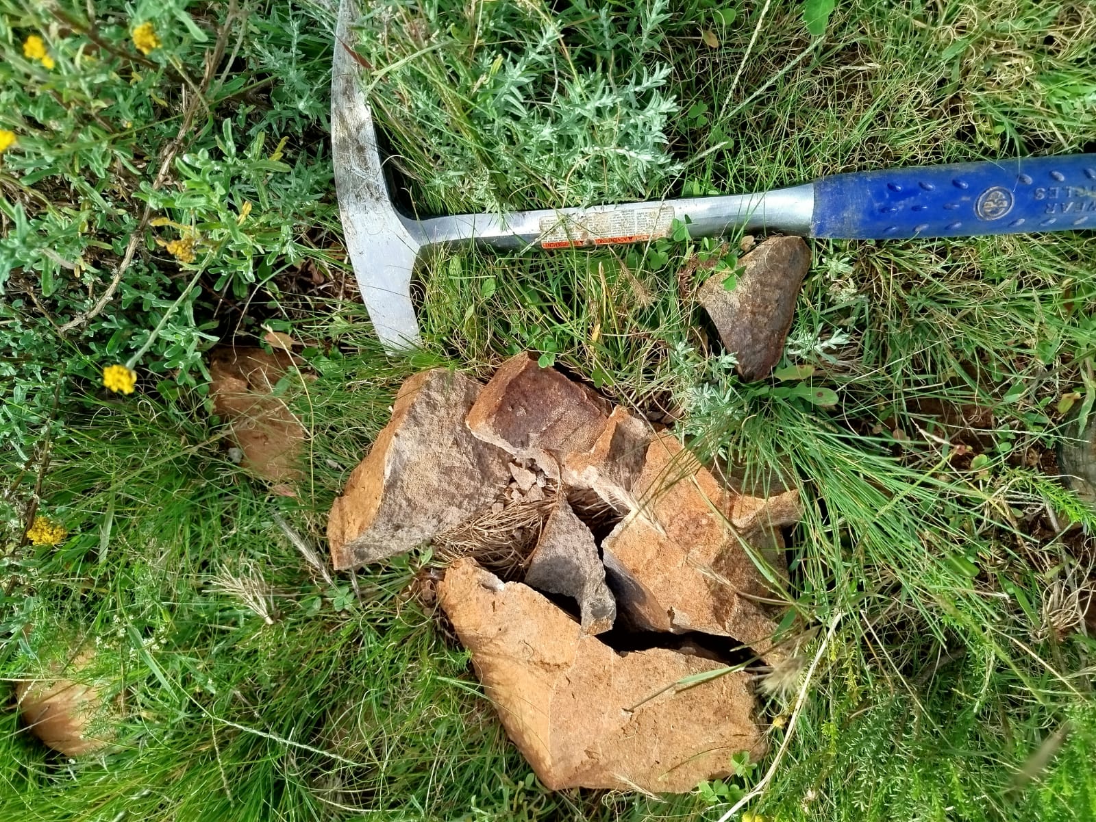 Outcrop detail with a geological hammer for scale